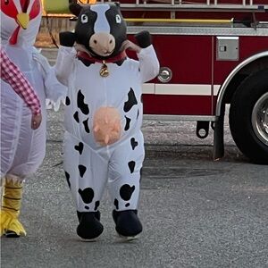 Cow Kids Costume